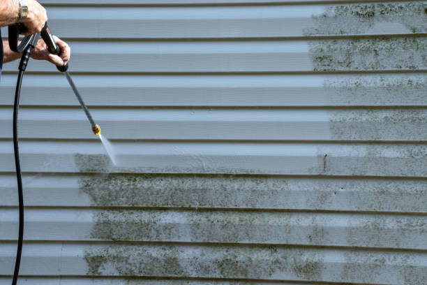 Shed Removal in Santa Monica, CA